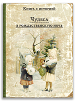 Чудеса в Рождественскую ночь